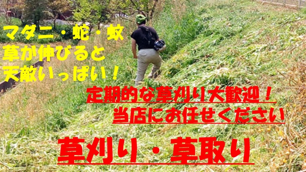 松江市・米子市周辺の草刈り、300円はあたり前